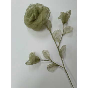 Kwiat do wazonu - oliwka